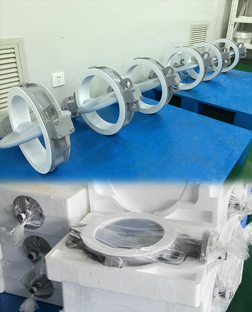 VerSpec PFA Lined Butterfly Valve Supply to Korea